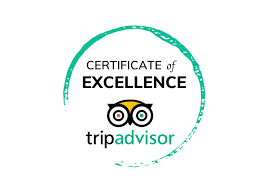 Trip Advisor Logo