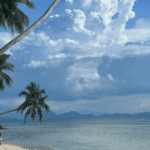 Top 5 Hidden Spots to Discover on a Jungle Safari in Koh Samui